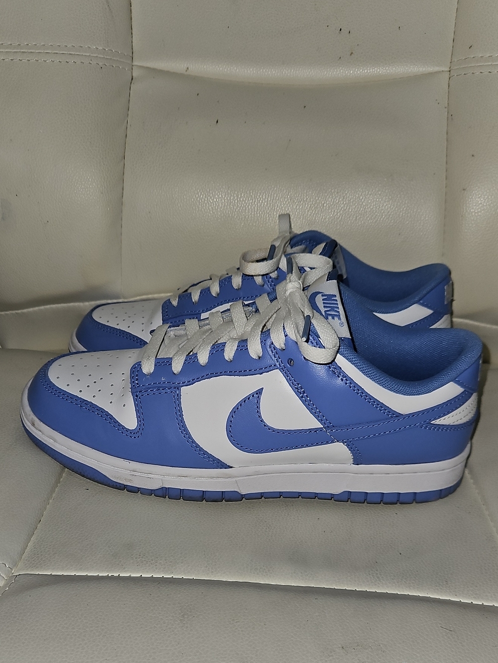 Nike Dunk Low-Top Sneakers in Blue and White